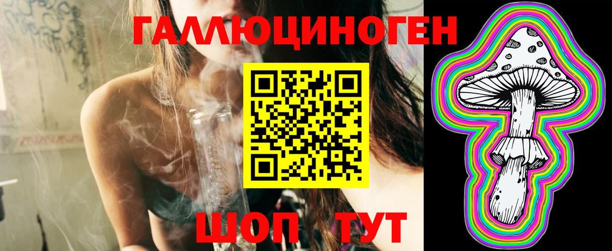 Элиста  Псилоцибиновые грибы мицелий  Вход с VPN 